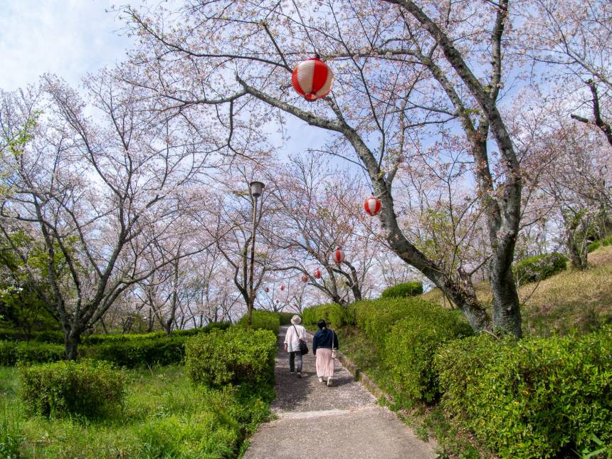 浄⼟宗開祖法然の先⽣皇円上⼈と蛇ヶ⾕公園の桜